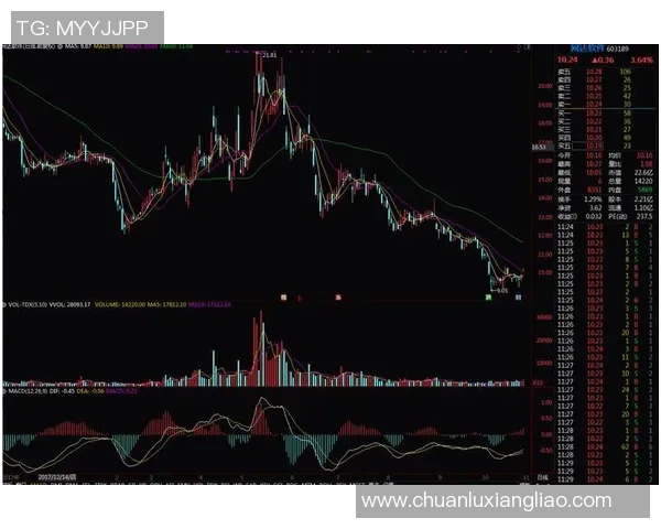 武汉篮球队在大师赛中的力量展现与战术分析深度点评